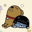 예손바디케어 이미지