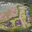 제부포레스트