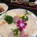 구레스시 이미지