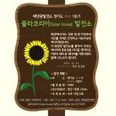 SR에너지 태양광발전소 Daum카페