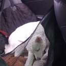 나나와메이 이미지