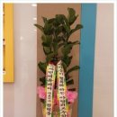 아담리즈수학울산남구센터학원