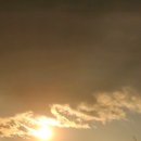 달리는이유 이미지