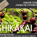 자연담은연구소