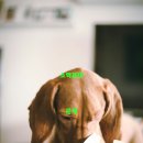 엔에이치엔(주) 이미지