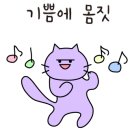 프리뷰티셀플라 이미지