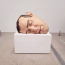 (주)동문현대공업사 | 서울 볼거리! 너무나 멋있는 론 뮤익 전시회 예매 및 관람 후기