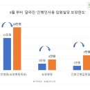 대한간병인