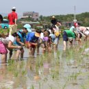 빗돌배기마을 이미지