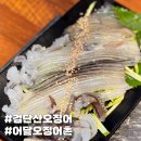 어달 오징어촌