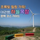 푸른하늘 목장 | [대관령 하늘목장] 초록빛 대자연에 안구정화 제대로! 트랙터 마차 꿀팁부터 디저트 솔직 후기까지...