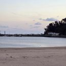 연포해수욕장(송림) 이미지