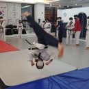 쌍용예가태권도 이미지