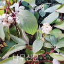 나무와창 이미지