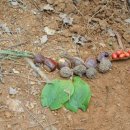 월롱초등학교 이미지