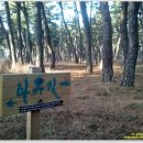 바우길 12구간 이미지