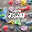 킹콩클라이밍