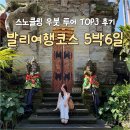 땅솔별 | 발리 여행 코스 5박 6일 스노쿨링 우붓 투어 TOP3 후기