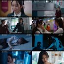 선의 이미지