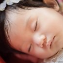 브라운파크 이미지