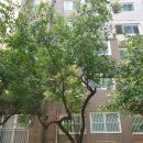 행복드림자동차써비스 이미지