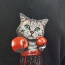 HHIM 힘 복싱스쿨 이미지