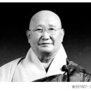 숭산(1927~2004) : 불교정신으로 세계일화 추구한 선사 / 최용운 이미지