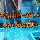 붕어랑메기랑 이미지