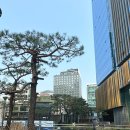와플라이 | [내돈내산] 광화문 신라스테이 브런치 뷔페 찐 리얼 후기