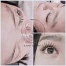 엘라인(L.Line) 이미지