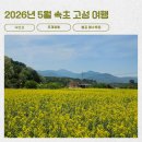 대주횟집 | 2026 5월 강원도 속초 고성 1박 2일 여행: 낙산사, 가오리찜, 고성 바다, 대포항, 영랑호, 황태해장국