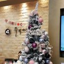 주작나무한의원 이미지