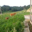 덕인농원 이미지