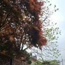 보다연희재 스튜디오 장소, 위치, 주차 후기