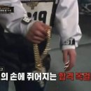 곱도리신&낙곱새 이미지