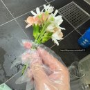 모두가 뜯어말린 셀프 본식부케 만들기! 🌟대성공🌟후기, 고터 꽃시장, 셀프부케, 연습부터 완성까지...