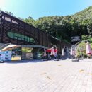 경남식당 | 단양현지인맛집 경남식당 40년 마늘떡갈비 후기