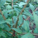 하늘농장2 이미지