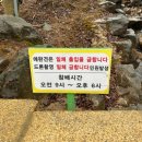 웅석봉로 | 경남 산청 수선사 우중 방문 후기, 주차장