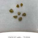 으뜸원동물병원 네이버블로그