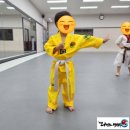 THE나이스태권도 이미지