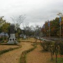 자인계정숲 이미지