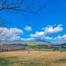 현이목장 이미지