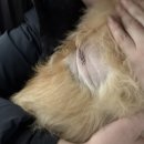 박물관옆동물병원 네이버블로그