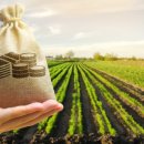 유일농산 이미지