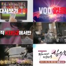 피어나라