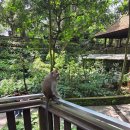 발리목욕탕 | [외양간 고치기] 발리 신혼여행 후기 3편