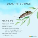 숲해설가가 알아두면 좋은 곤충이야기 _ 날도래 _ 작성중 이미지