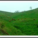 나드리목장 이미지