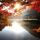 설악어린이공원 이미지